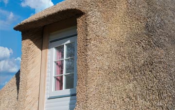 Tannochside thatch roof disadvantages